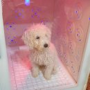 놀고가개 이미지