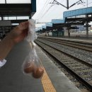 (주)삼송상사 | [2018/06/15~17]우리들의 행복했던 나주 안개투어 (나주혁신도시, 맛집투어)