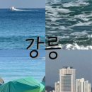[ 🌊 강릉 여행 코스 ( 1박 2일 일정 ) ] 경포해변, 송정해변 당일치기 코스