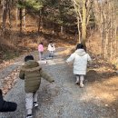 푸른금산어린이집 이미지