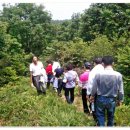 이월초등학교 이미지