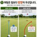 파크 골프 잘 치는 방법, 비제이 PnG 파크골프 퍼팅연습기 퍼터매트 무소음 자동리턴 솔직 구매후기
