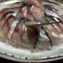 모슬포수산식당 이미지