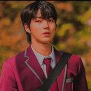 apple of my eye🍎 이미지