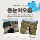 2685 | 제주 동쪽 오름 필수코스, 용눈이오름 후기｜난이도·소요시간·주차 정보·추천시기