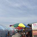 스테이수목 | 오로지 먹으러가는 오이도 1박 2일 여행 코스 추천 🌊🐙🐡