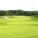 (주)대원산업더힐하우스양평 이미지