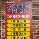 보현바른자세