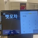 반려동물 수제간식 태식당 | 스타필드 수원 펫모차 개모차 대여 주말 이용 꿀팁 예약방법 달마시안 애견동반식당 후기