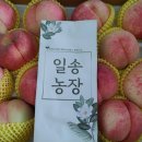 일송농장 네이버블로그