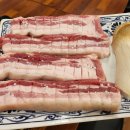 금돼지돈돼지 | 우도 흑돼지 맛집 우도돈돼지 내 돈 내산 후기