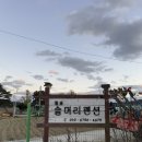 울진솔펜션 | 울진 애견 동반 펜션 추천 쾌적하고 깔끔한 월송솔머리펜션