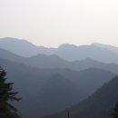 백두대간약초나라 이미지