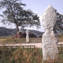 서천리 당산 이미지