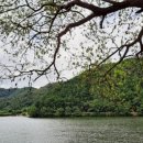 공북낚시터 이미지