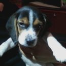 청룡동-24 이미지