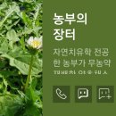 이웃농부 영농조합법인 이미지