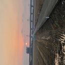 삽다리축사 이미지