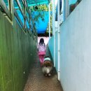 프리독펜션A 이미지