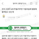 우리 고양이 궁디 뚜들겨주면 기침하길래 병원에 들쳐업고 갔는데 이미지