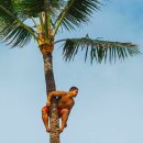 지명 카 서비스 이미지