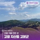 옥전목장 | 고령 가볼 만한 곳, 고령 지산동 고분군 유네스코 세계유산 등재