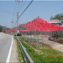 용왕샘터 이미지