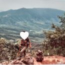 미인당구장 이미지