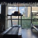 V therapy 안티에이징센터 이미지