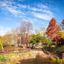 3.1.공원 이미지