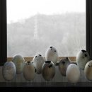 공간창 이미지