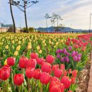 금호강 둔치 축구장 이미지