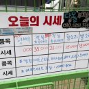 다올수산 이미지