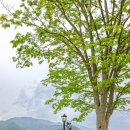 곡성-130 이미지