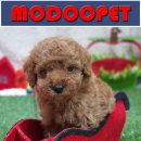 모두와샵 이미지