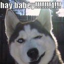 밥풀떼기 이미지