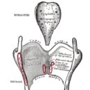 영어입문 이미지