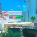 구암동447 이미지