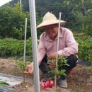 죽암농장 이미지