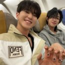 요리요리 이미지