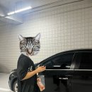 마포구민체육센터 화장실 이미지