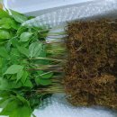 은당농장 이미지