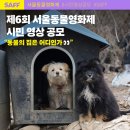 서울동물 MBC연예
