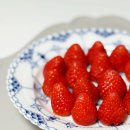 해피팜농장 | 스트로베리문 설향딸기 프리미엄 스마트팜 강아지딸기 간식 추천