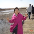 묘도초등학교 이미지