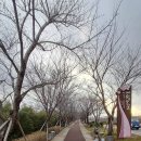 낙동강관리본부 화명생태공원 11 이미지