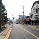 중앙로가로수 이미지