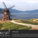 숲속마을파도소리 이미지