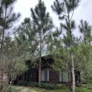 LEE 당구장 | 하노이 근교 속선 Lee Garden 독채펜션 후기