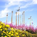 산림문화체험관 이미지